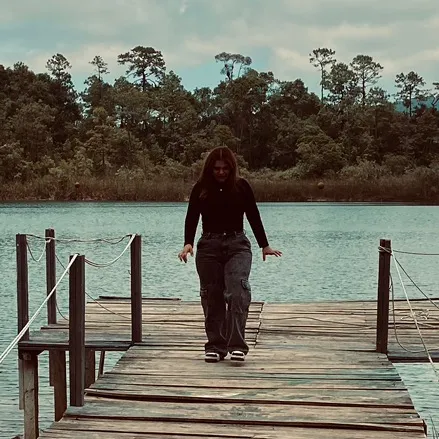 Sound cover